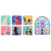 AUST BIRDS MAGNET 6ASST UN24