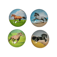 5CM GLASS HORSE MAGNETS 4ASST UN12