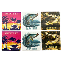 DARWIN MAGNETS 3ASST SOLD QTY 12