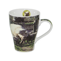 COYOTE MUG PIGS