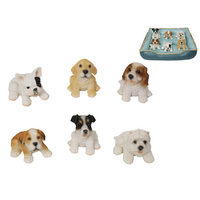 DOG BED 6ASST UN36