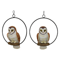 25CM AUSTRALIAN BARN OWL IN RING QTY 2