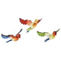 ACRYLIC PARROTS 3ASST 18x16cm SOLD QTY6