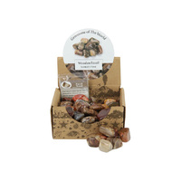 WOODEN FOSSIL TUMBLE STONE 2-3CM UN50