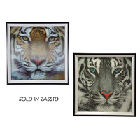 33CM SQ 3D FRAMED TIGER PRINT 2AST