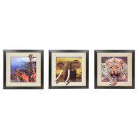 40X40CM 5D ANIMAL PICS W/FRAME 3AS