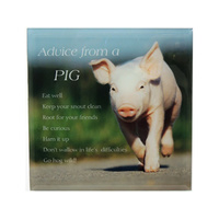 PLQ ADVICE FROM A PIG 15X15CM