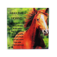 PLQ ADVICE FROM A HORSE