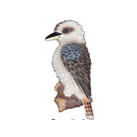 KOOKABURRA DECORATION HANGING