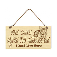 MDF CATS IN CHARGE WALL HANGER 20X10CM