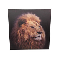 50X50CM LION PRINT CANVAS