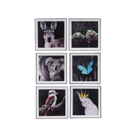 AUST ANIMAL ART GLASS 50X50CM 6ASST