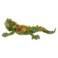 31CM LONG LIZARD W/SUCCULENT FINISH QTY 2