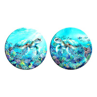 60CM SEA TURTLE ROUND GLOSS CANVAS 2ASST