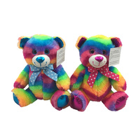 25CM RAINBOW PLUSH BEAR 2ASST