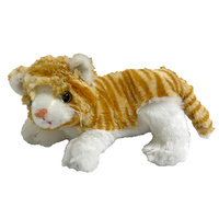 GINGER THE CAT