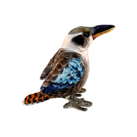 KINGSLEY KOOKABURRA