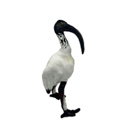 OPAL IBIS