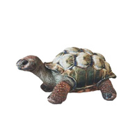 DARWIN TORTOISE Approx. 25cm