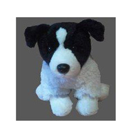 TOY DOG-BORDER COLLIE