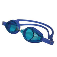 CHAMPION FULL SIZE GOGGLES UN12