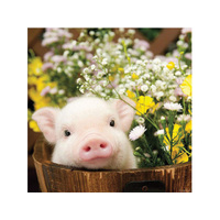 DIAMOND ART PIG 30X40CM SOLD IN QTY4