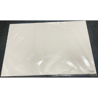TISSUE PAPER WHITE 17X26" (480)