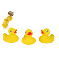 DUCK FLOATERS 3PC