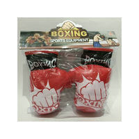 BOXING GLOVES SET