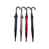UMBRELLA AUTO HOOK