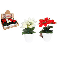 GLITTER POINSETTIA IN POT UN12