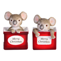 XMAS KOALA IN BOX 2ASST ONLY SOLD QTY4