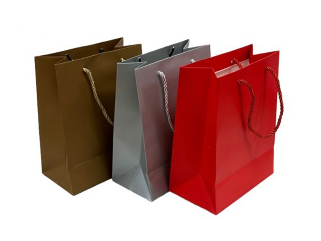 DEL-PAPER GIFT BAG 210G 26X32X12CM 3ASST MEDIUM SOLD QTY12