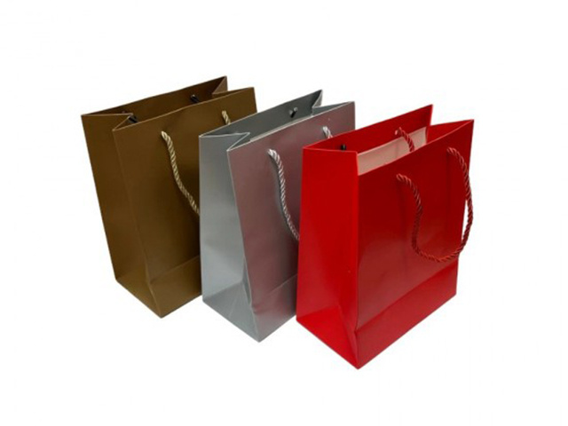 PAPER GIFT BAG 210G 18X23X10CM 3ASST SMALL SOLD QTY12
