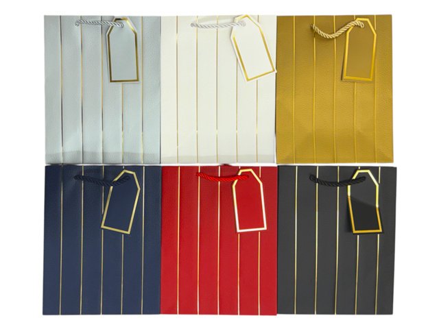 GIFT BAG WITH CARD GOLD LINE 18X23X10CM SOLD QTY12