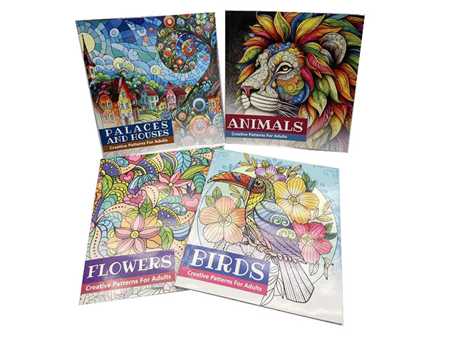 ADULT COLOURING BOOK 64PG 23X52CM 4ASST