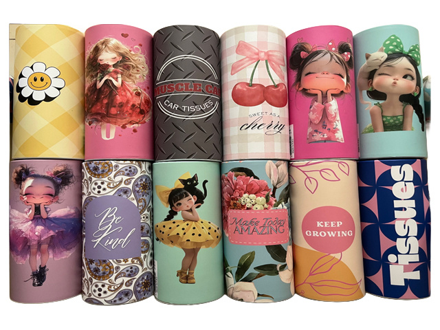 CAR TISSUE 12ASST