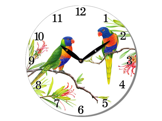 28.8CM MDF RAINBOW LORIKEET CLOCK