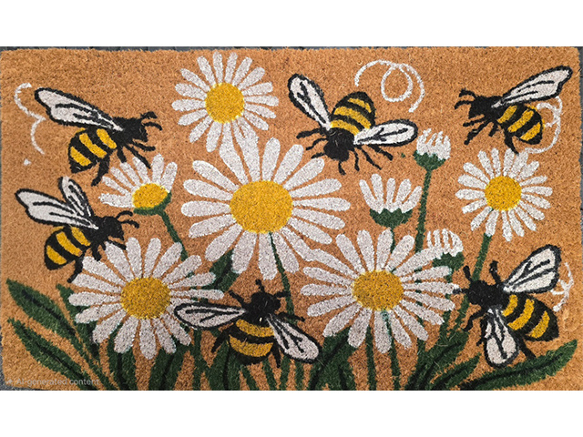 COIR BACKED DAISYS 45X75CM