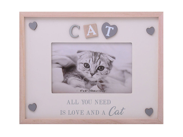 SENTIMENTS FRAME CAT 6X4