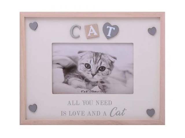 SENTIMENTS FRAME CAT 6X4