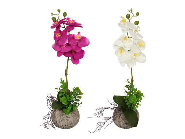 54CM ORCHID IN MOROCCAN POT 2ASST QTY4