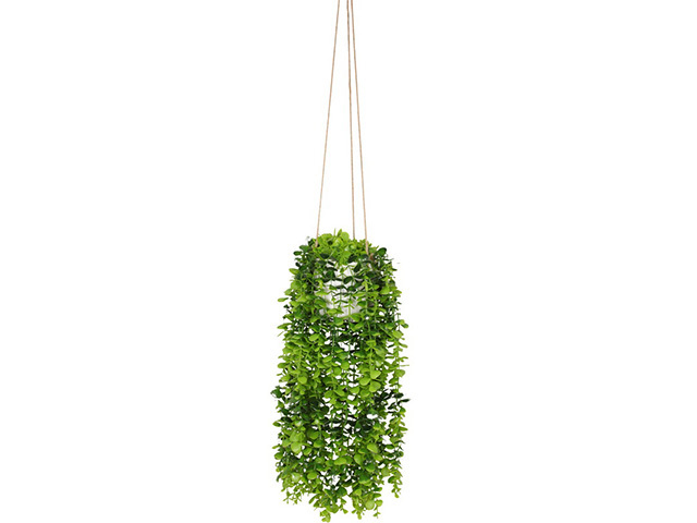 100CM HANGING PLANT IN POT QTY 4