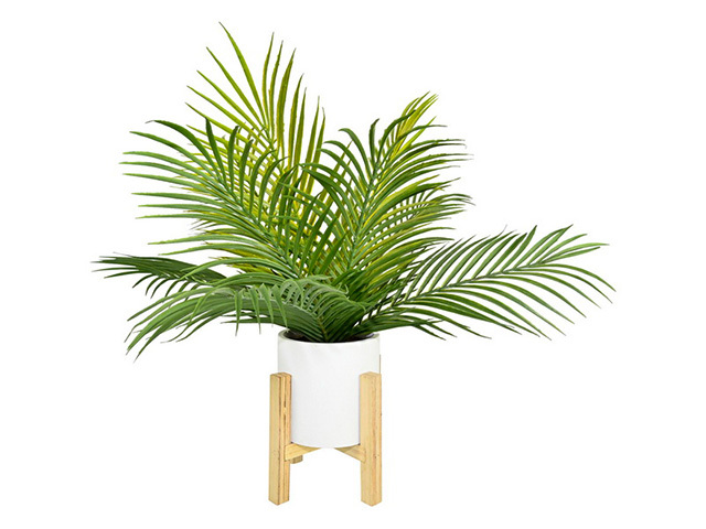 50CM FERN IN WHITE POT ON STAND QTY 2