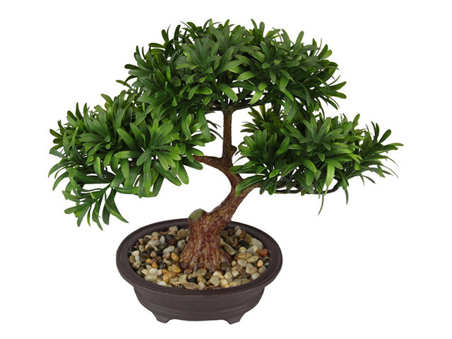 28CM BONSAI TREE IN POT SOLD QTY3