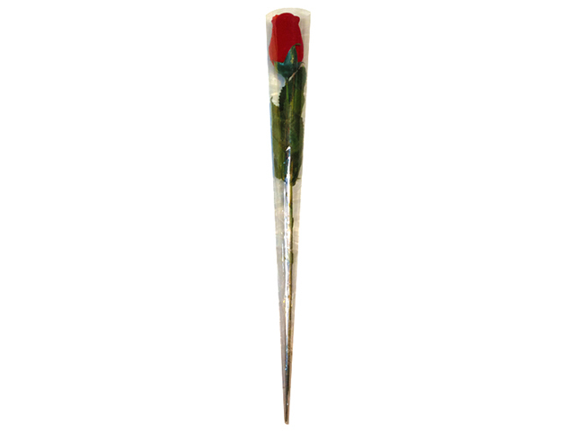 VALENTINE ROSE IN CELLOPHANE