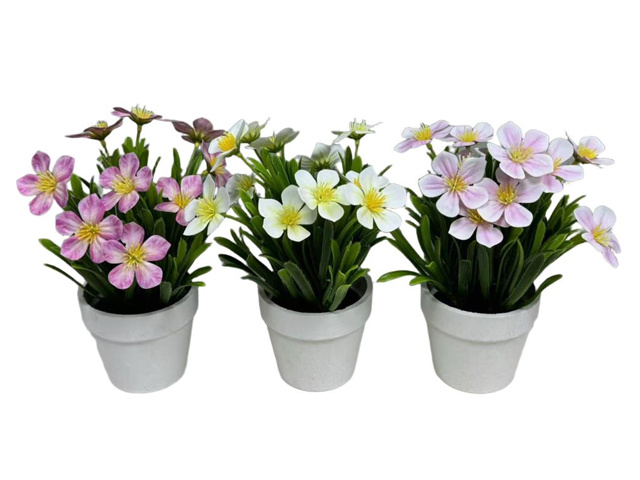 24CM FLOWERS W/GRASS IN WHITE POT 3ASST QTY 6