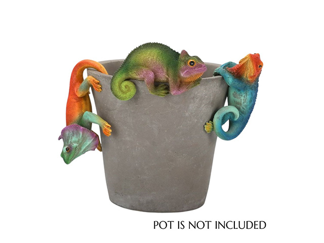RESIN LIZARD POT HANGER 9.5X7.5X4CM 3ASST SOLD QTY12