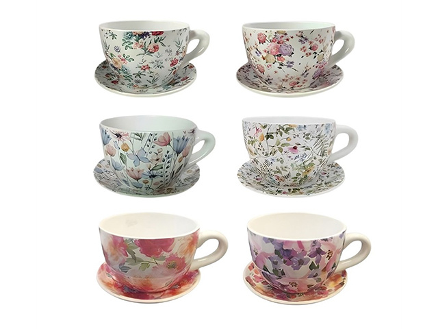 CERAMIC CUP AND SAUCER PLANTER 19X15X10CM 6ASST