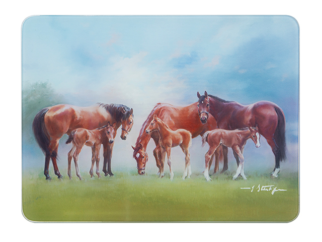 MARES &amp; FOALS PADDOCK SURFACE PROTECTOR